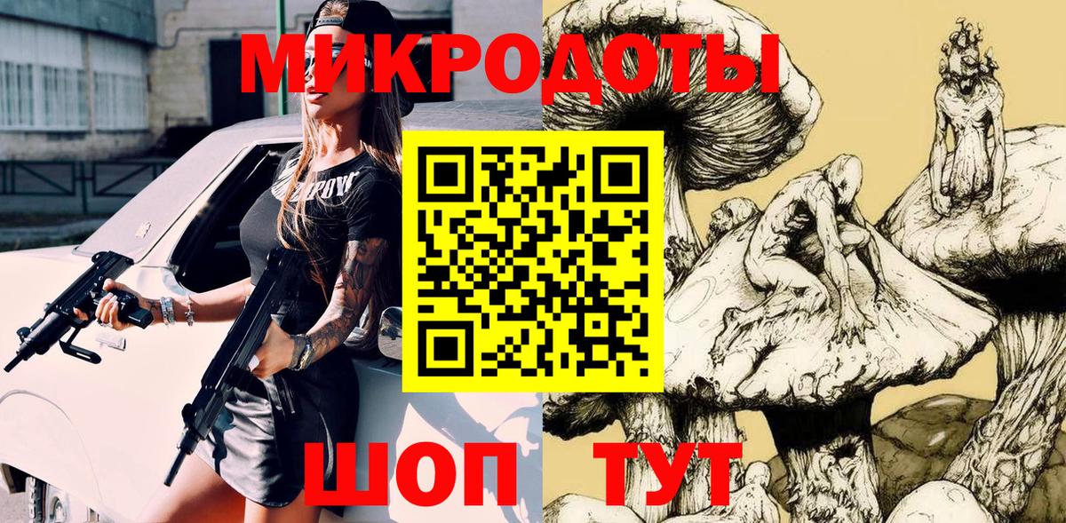 Псилоцибиновые грибы Psilocybe Сальск