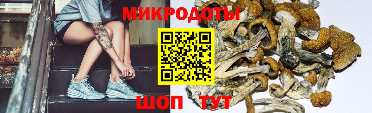 Сальск  Галлюциногенные грибы Cubensis  наркошоп  Вход с VPN 